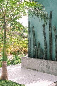 Cactus Lodge Pipa