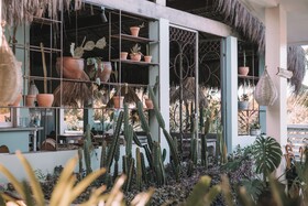 Cactus Lodge Pipa