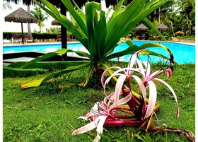 Hotel Marinas