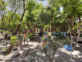 Macaco Surf Hostel