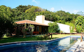 Pipa Casa Cobra