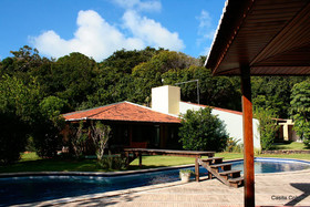 Pipa Casa Cobra
