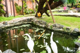Pousada Oasis