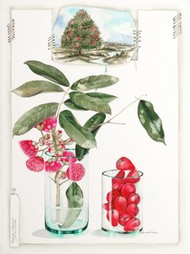 Mata N'ativa Pousada