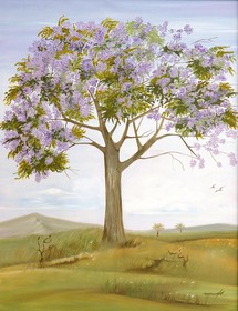 Mata N'ativa Pousada