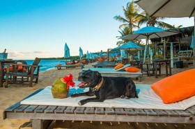 Travel Inn Trancoso