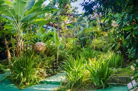 Pousada do Mineiro