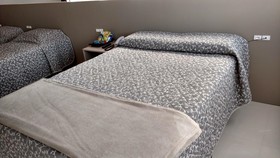 Hotel Palmas Executivo