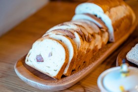 Refúgio Dos Coiotes