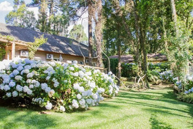 Pousada Pinhão e Poesia