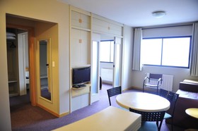 Bergson Executive Flat - Aspen