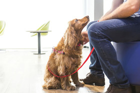 ibis budget Curitiba Centro