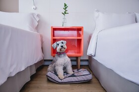 Intercity Curitiba - Centro Cívico