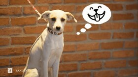 Johnscher by SJ Hotéis & Resort