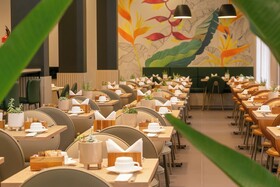 Roochelle Convention By Nobile