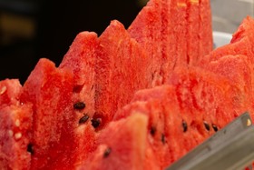 Roochelle Hotel By Nobile