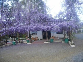 Harry World Parque Hotel