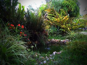 Albergue Campeche Hostel