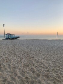 Canas Center Residence