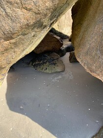 Canas Center Residence