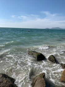 Canas Center Residence