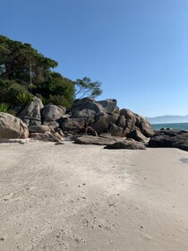 Canas Center Residence