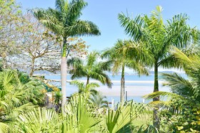 Encantos Da Ilha Pousada