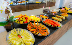 Ingleses Park Hotel