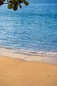 Jurerê Beach Village