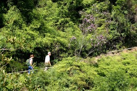 Plaza Caldas da Imperatriz Resort & Spa