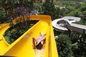 Aguas de Palmas Resort