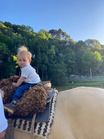 Cabanas Loft Paraíso