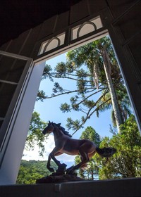 Hostel Tematico Lone Star