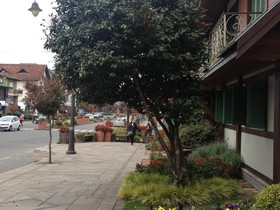 Hotel Vovó Carolina