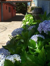 Petit Hotel Provence