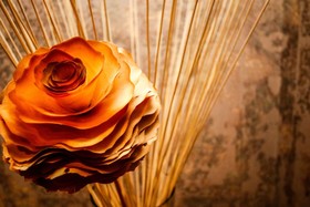 Pousada Ares Da Serra