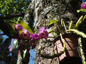 Pousada Maibe Amanhecer Na Serra