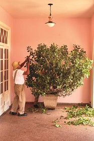 Hotel das Cataratas, a Belmond Hotel