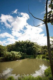 Pousada Agroecológica Guata Porã