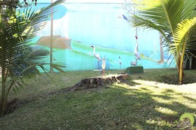 Pousada Natureza Foz