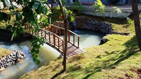 Stella Solaris Cataratas