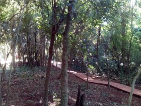 Suíça Iguaçu Hotel & Resort