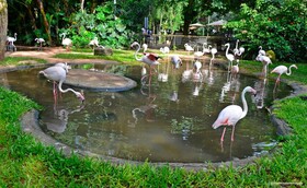 Tulipa Hotel