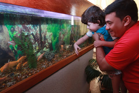 Hotel Portinari Centro