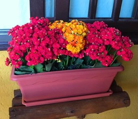 Pousada Habitat Marinho