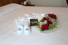 Bourbon Joinville Convention Hotel