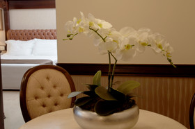 Bourbon Londrina Business