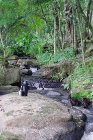 L'esperienza - Chalés completos - Ecoturismo