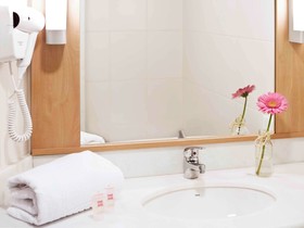 ibis Novo Hamburgo