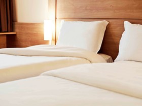 ibis Novo Hamburgo